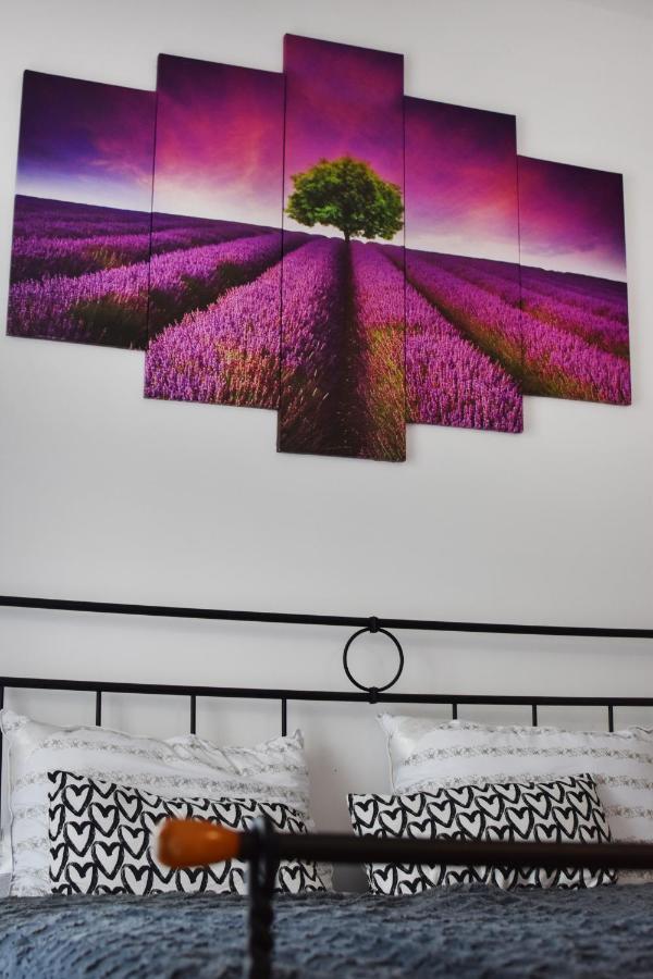 Studio Apartment Old Town Castle Samobor Dış mekan fotoğraf