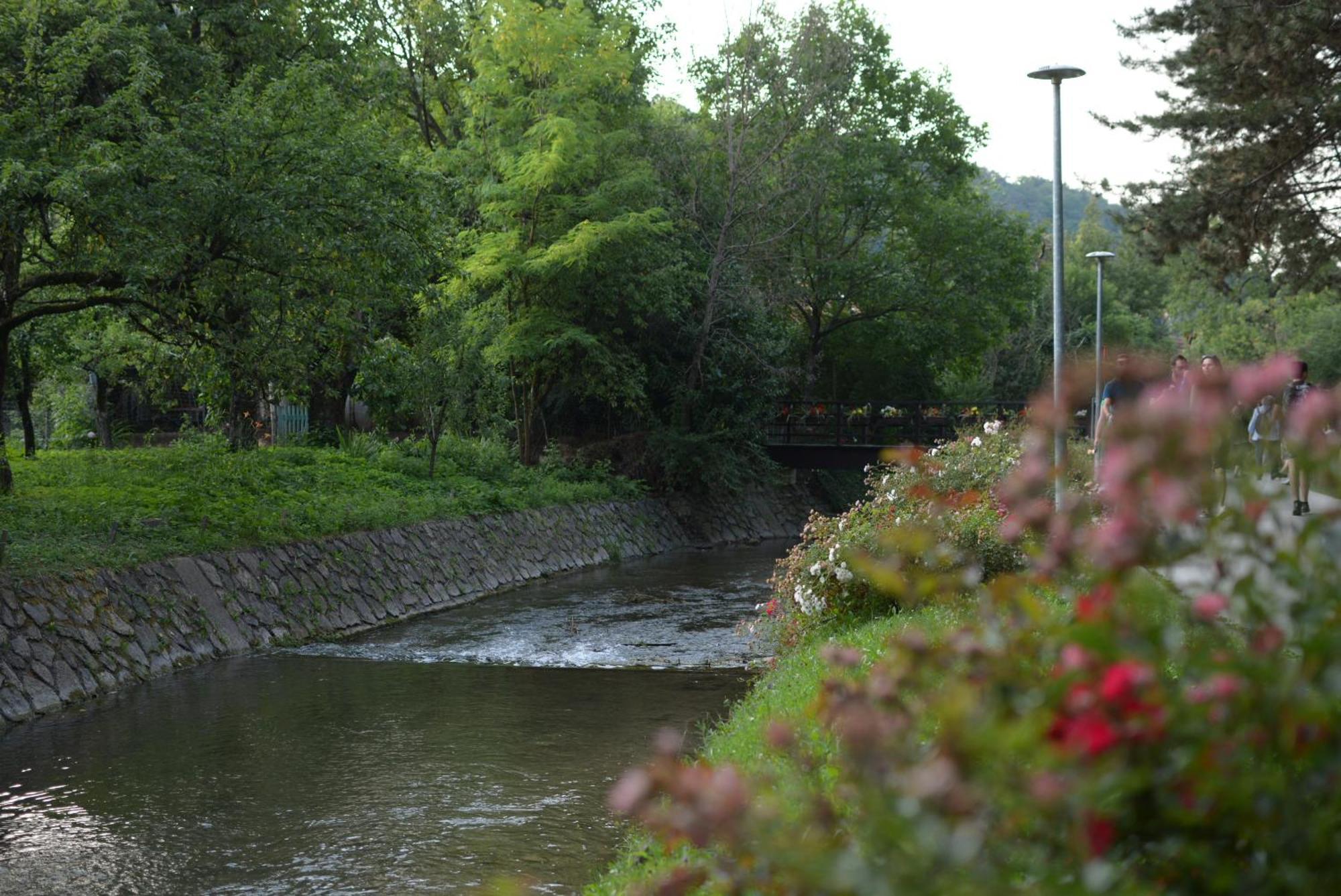 Studio Apartment Old Town Castle Samobor Dış mekan fotoğraf