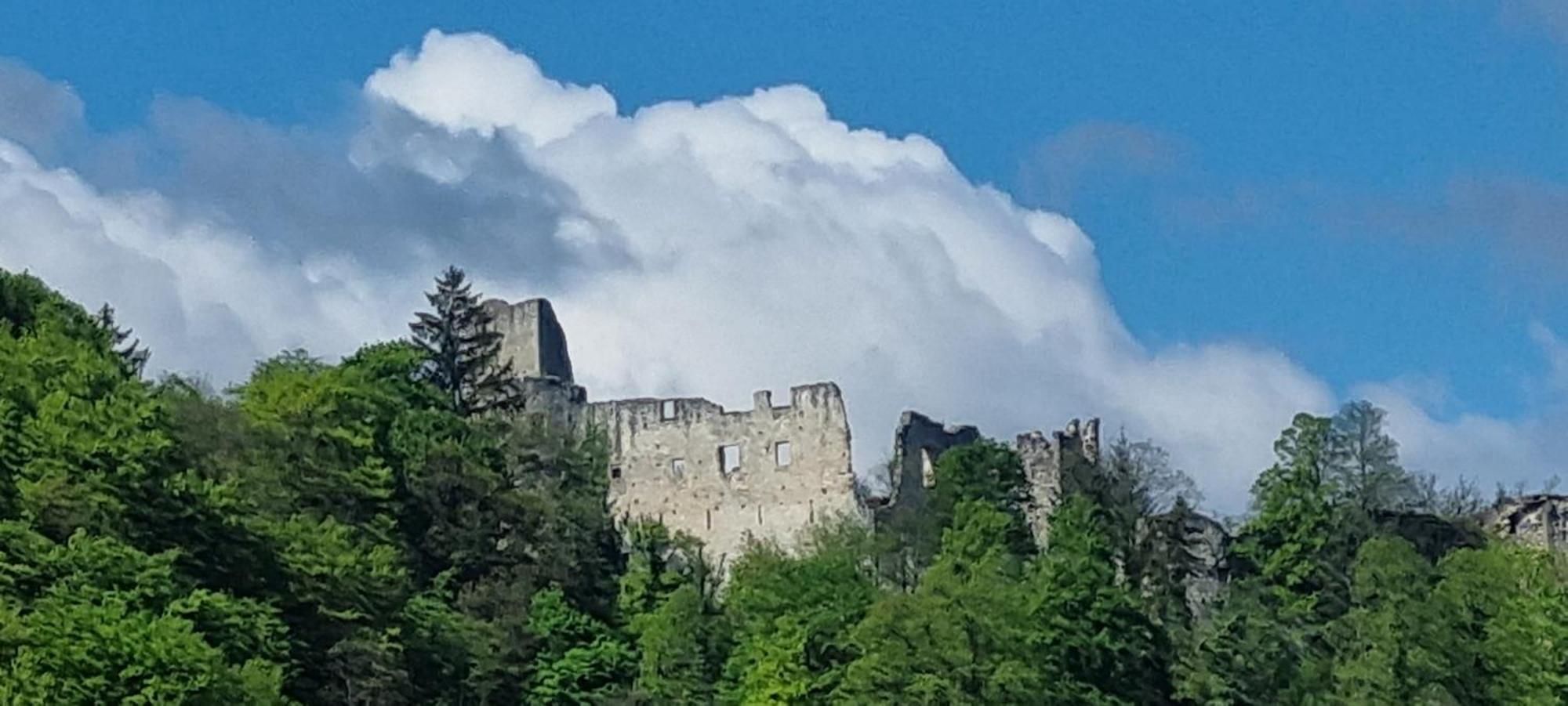 Studio Apartment Old Town Castle Samobor Dış mekan fotoğraf