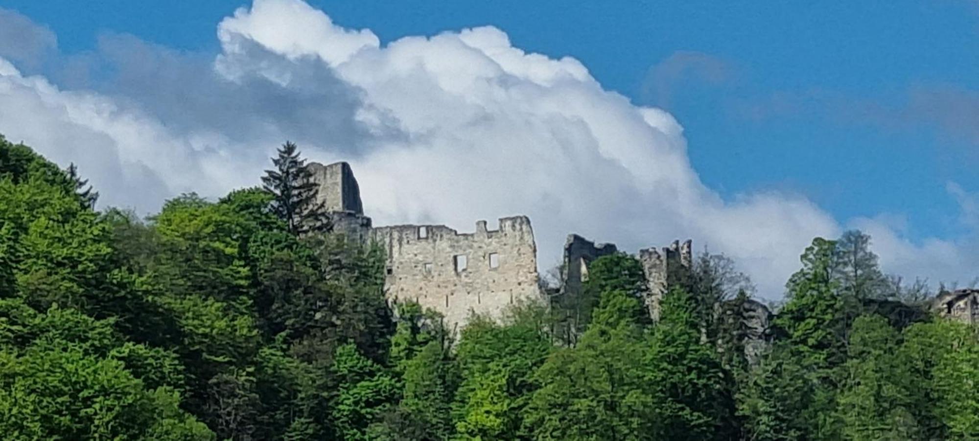 Studio Apartment Old Town Castle Samobor Dış mekan fotoğraf